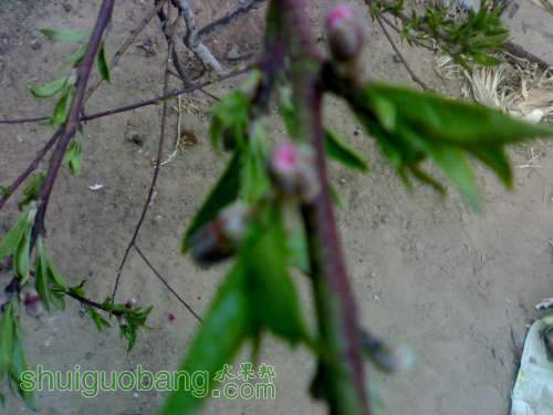 UC_Photo_1.jpg
