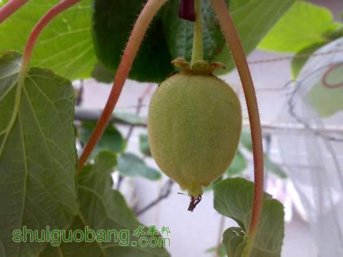 20130404732.jpg