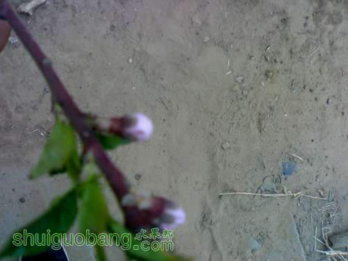UC_Photo_1.jpg