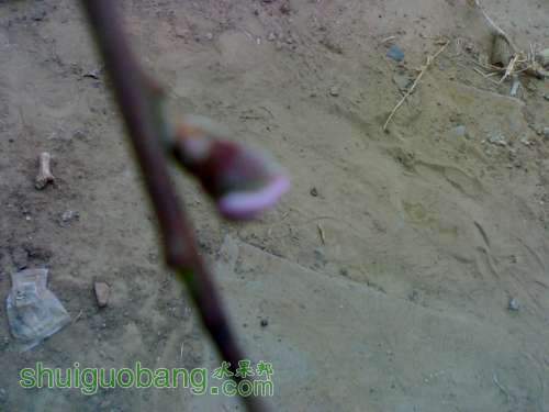 UC_Photo_1.jpg