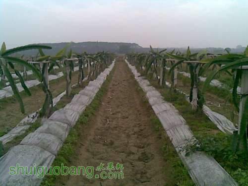 20121226.jpg