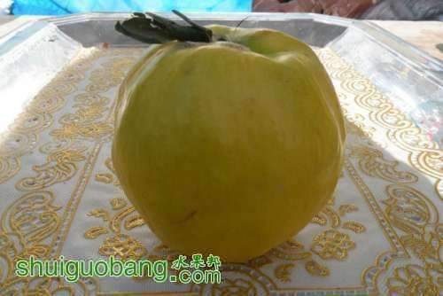 143107nnin99c8b93tappb.jpg