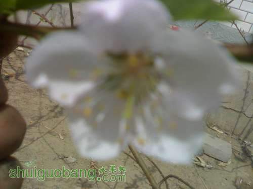 UC_Photo_2.jpg