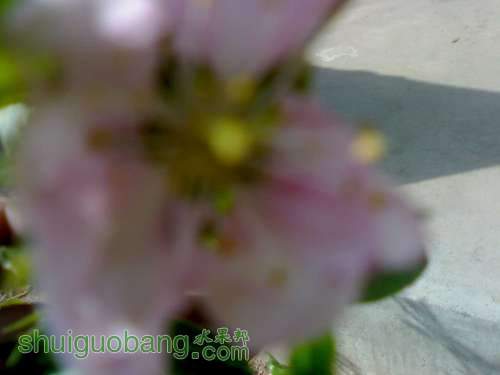 UC_Photo_3.jpg