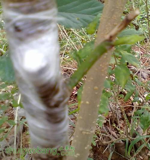 20130406549.jpg