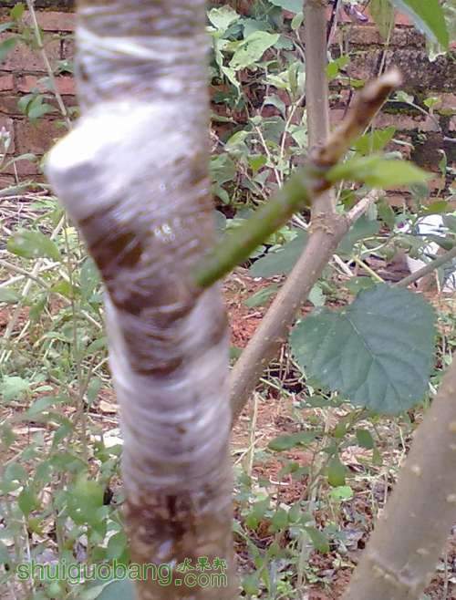 20130406546.jpg