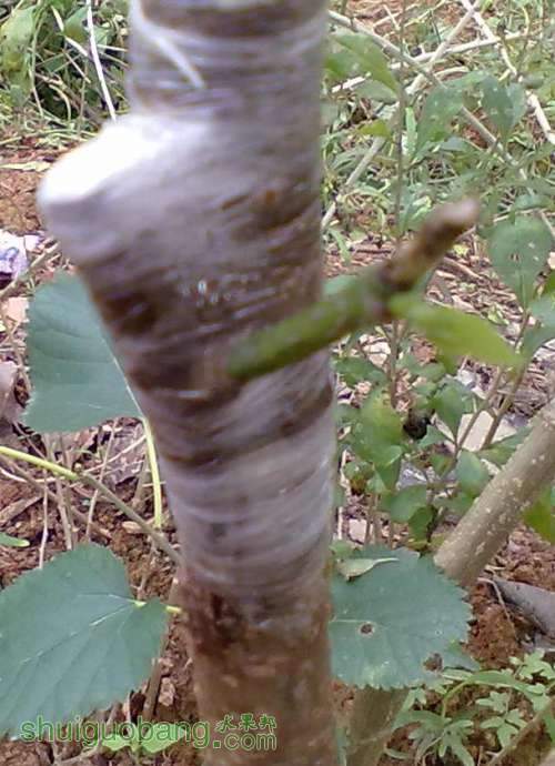 20130406547.jpg