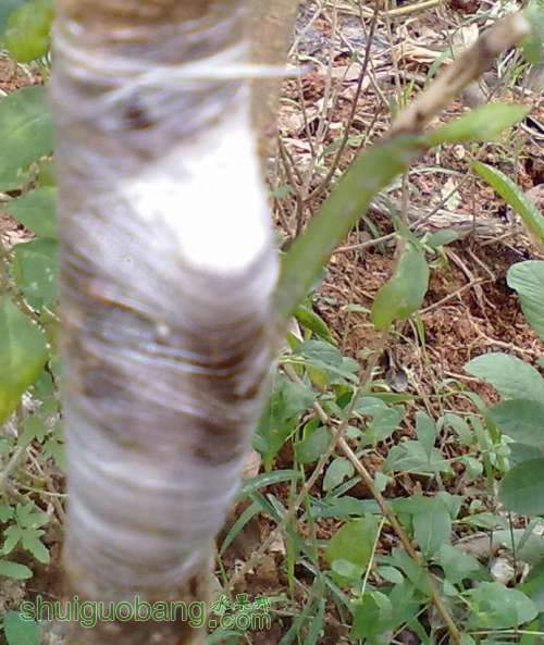 20130406548.jpg