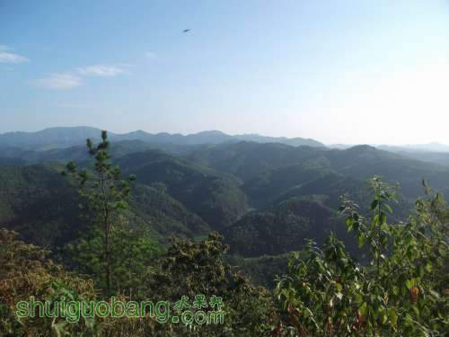 С DSCF1432.jpg