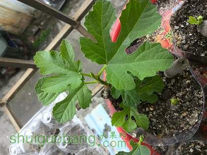 IMG_20130406_1250418.jpg