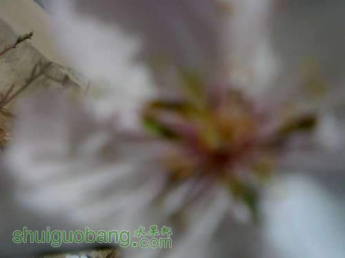 UC_Photo_1.jpg