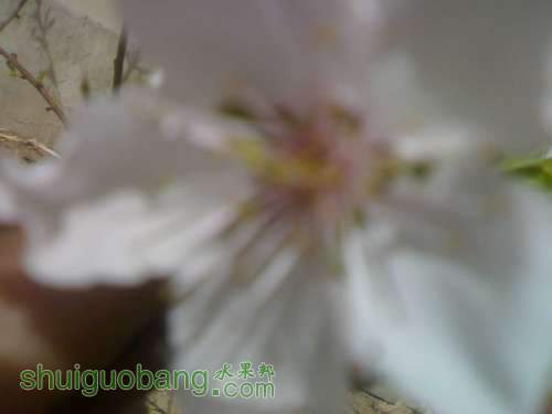 UC_Photo_4.jpg