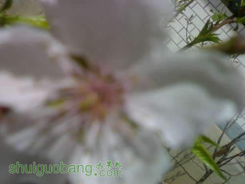 UC_Photo_2.jpg