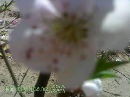 UC_Photo_2.jpg