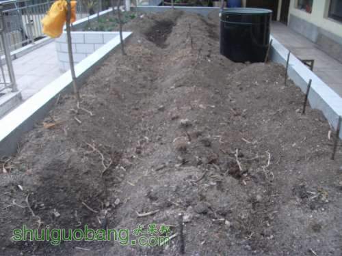 Ƭ 052.jpg