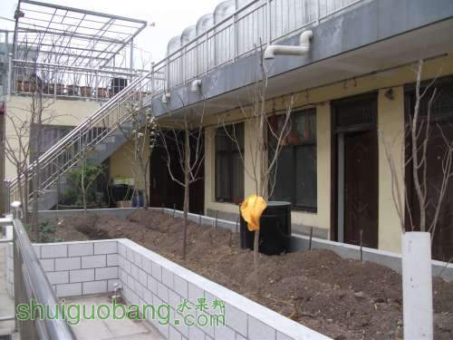 Ƭ 054.jpg