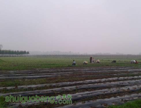 (GH`K)4K$5T[RKIZS8RP8$O.jpg