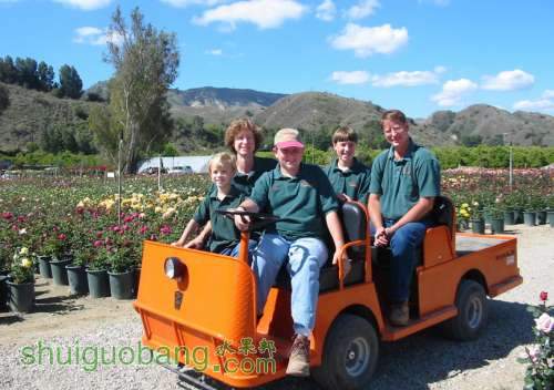 roses-family.jpg