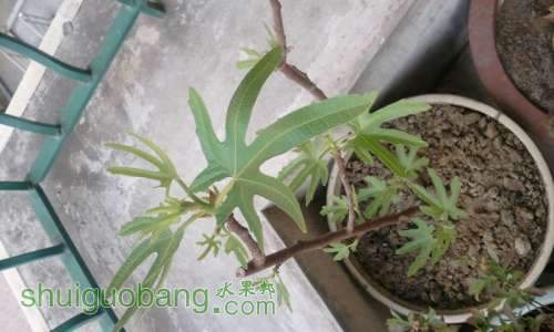 2013-04-10 07.34.04.jpg