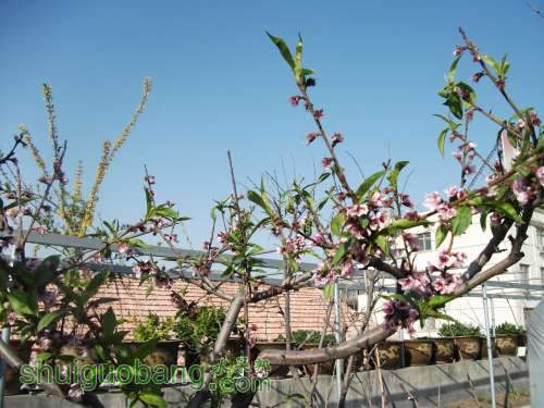 Ƭ 048.jpg