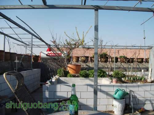 Ƭ 051.jpg