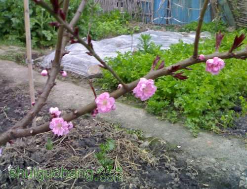 201303161446.jpg