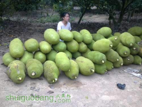 201304081321.jpg