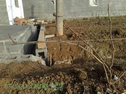 20130112037-001.jpg