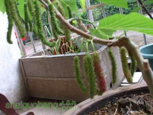 Ƭ 022.jpg