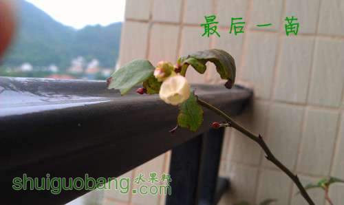 IMAG2701_.jpg