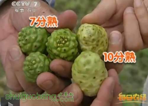 ŵ3.jpg
