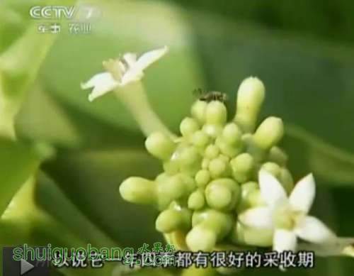 ŵ5.jpg