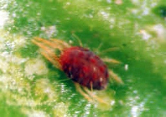 2010111921348.jpg