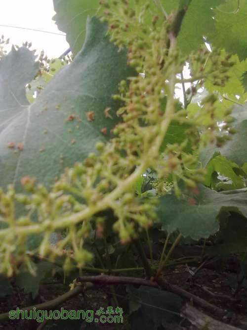 20130409424.jpg