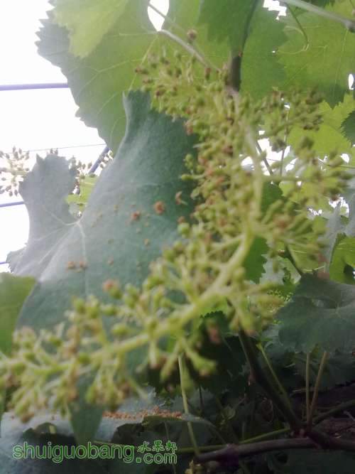 20130409425.jpg