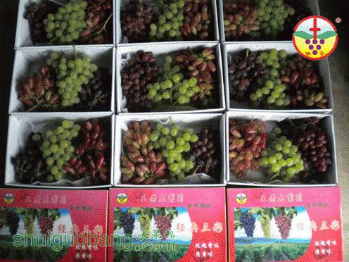 DSCN1123.gif