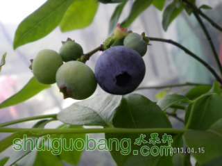 SANY0003_320x239.JPG