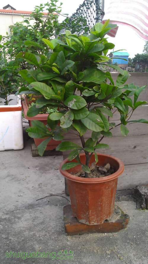 IMAG0863.jpg