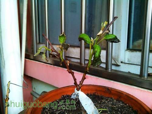 IMG_20130416_120816.jpg