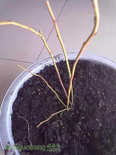 20130407.jpg