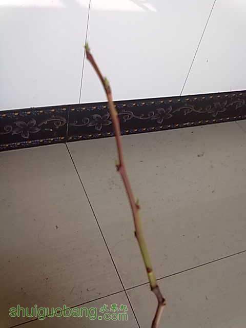 20130407001.jpg