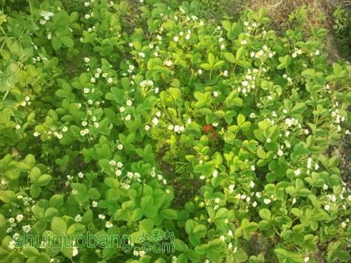 2013-04-14 16.39.35.jpg