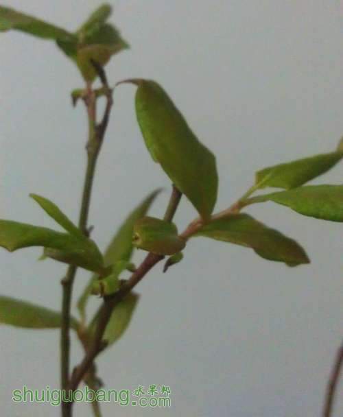 IMAG0603_.jpg