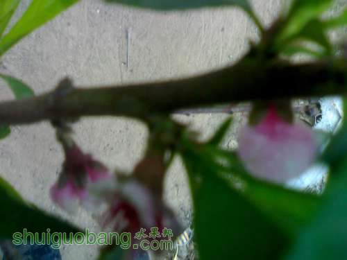 UC_Photo_1.jpg