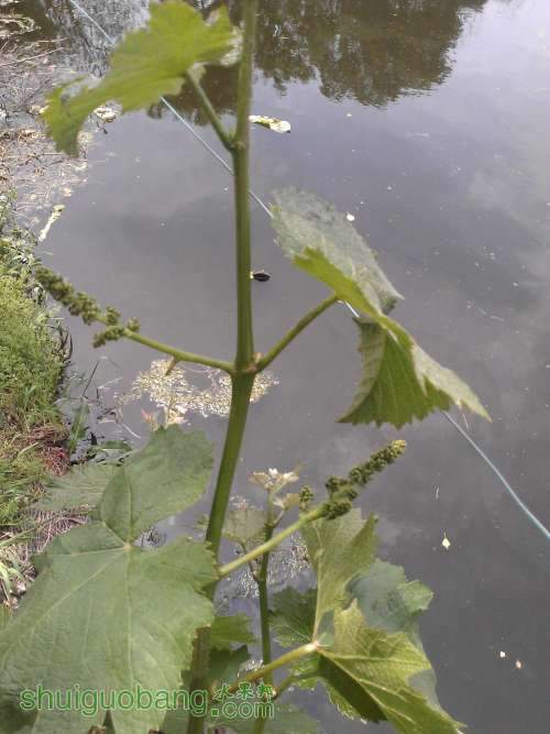 WP_000820.jpg