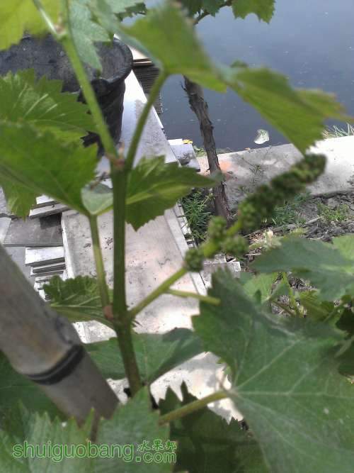 WP_000827.jpg