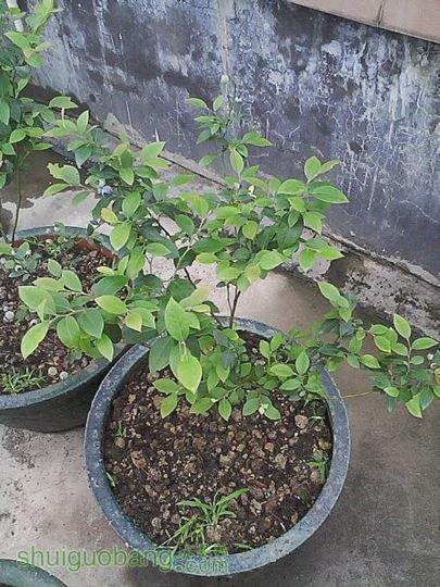IMG_20130418_070136_0.jpg