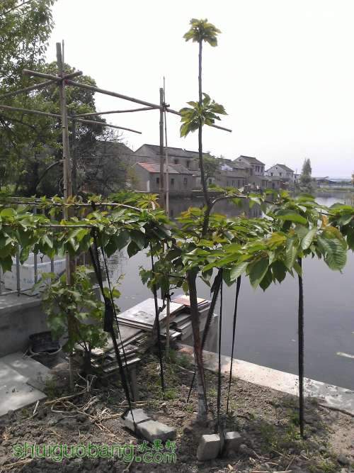WP_000843.jpg