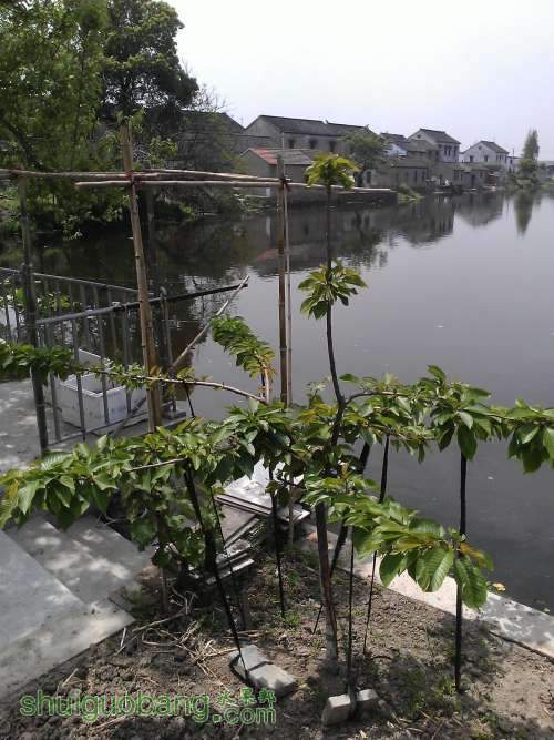 WP_000844.jpg