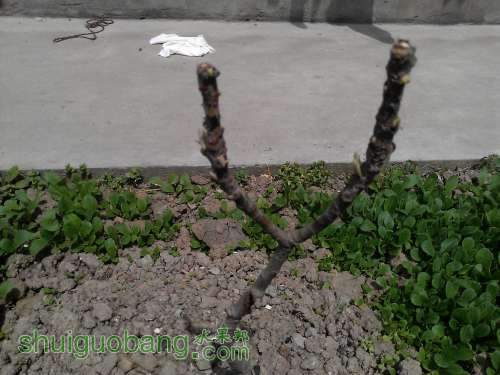 WP_000840.jpg